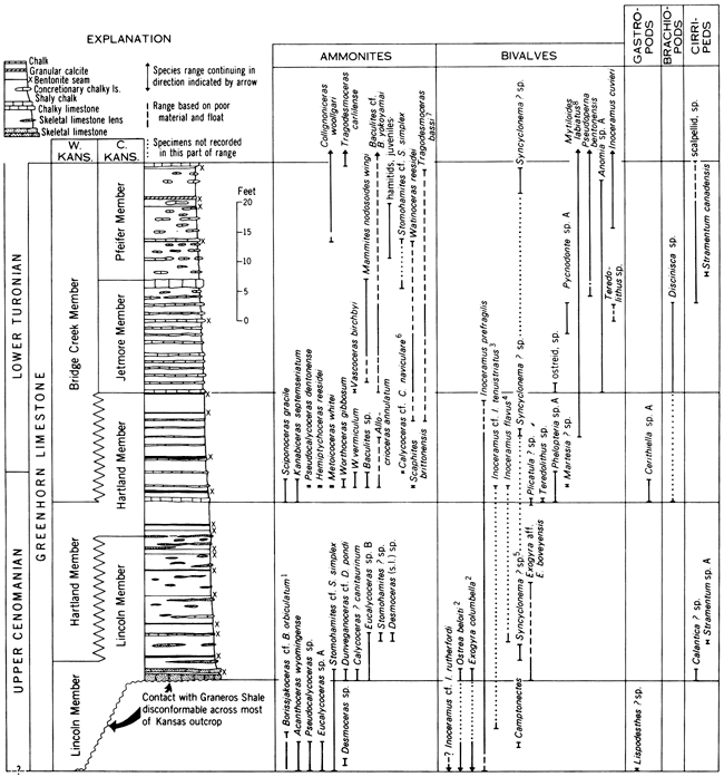 Stratigraphic chart of fossil assemblages compared.