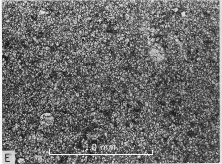 Photomicrograph, lower part of Jetmore Member.