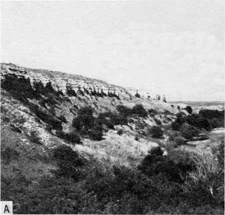 Black and white photo of bluff above small stream.