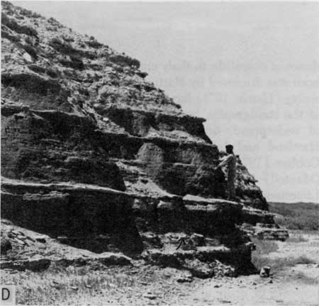 Black and white photo of outcrop, tens of feet high, with researcher standing on ledge.