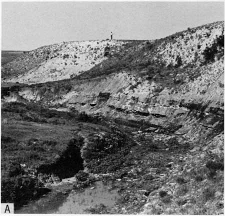 Black and white photo of small bluff above creek.