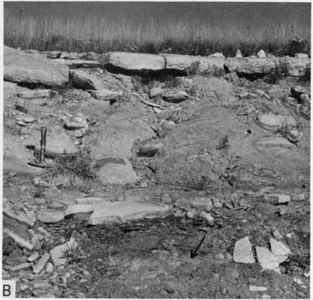 Black and white photo of outcrop, resistant beds at top and near bottom.