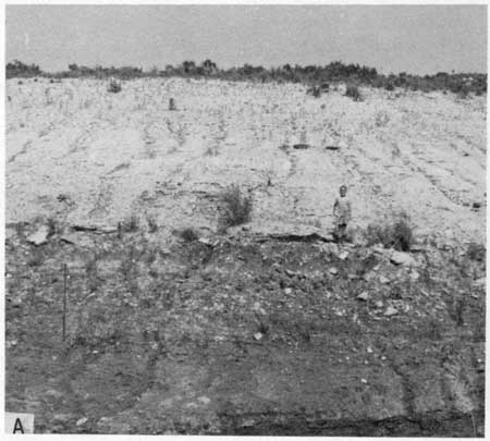 Black and white photo of gently sloping roadcut, lighter beds above darker.