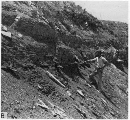 Black and white photo of dark colored outcrop.