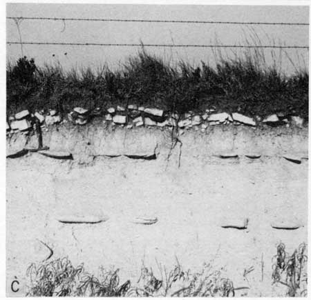 Black and white photo of light-colored outcrop, Fencepost LS at top below grasses.
