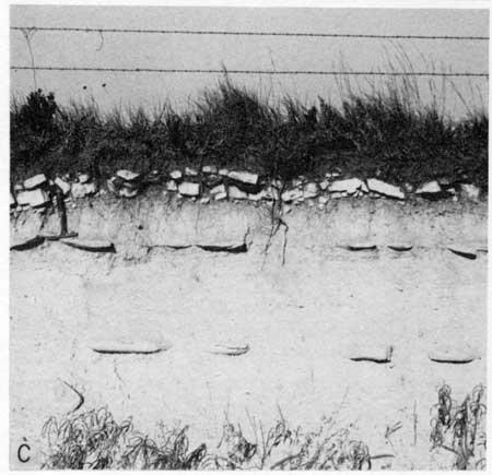 Black and white photo of light-colored outcrop, Fencepost LS at top below grasses.