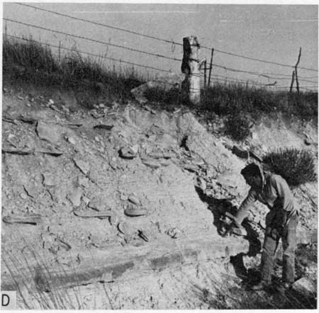 Black and white photo of Fencepost LS outcrop.