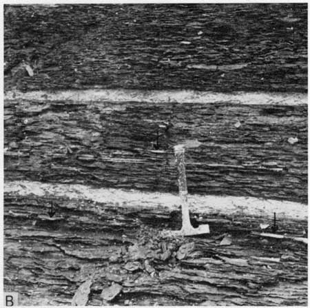Black and white photo of shale in Lincoln Member.
