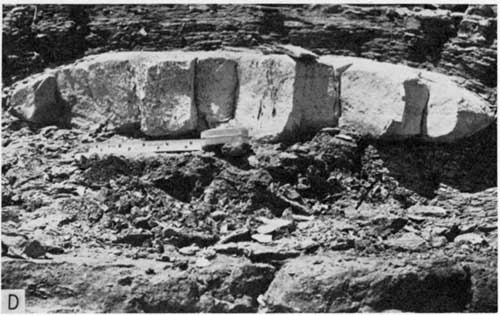 Black and white photo of limestone block within Lincoln Member.