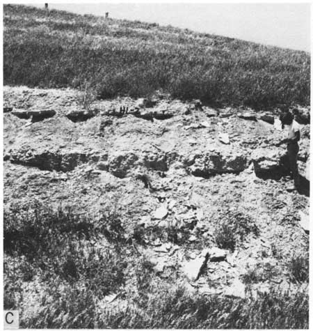 Black and white photo of chalky limestone outcrop, Hartland Member.