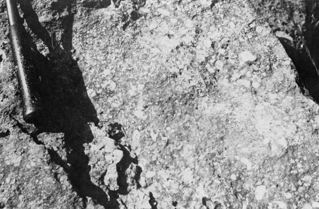 Black and white photo of outcrop.