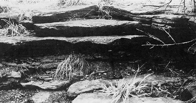 Black and white photo of outcrop.