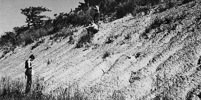 Black and white photo of outcrop.