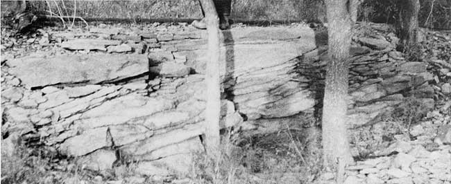 Black and white photo of outcrop.