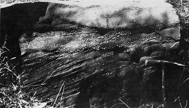 Black and white photo of outcrop.
