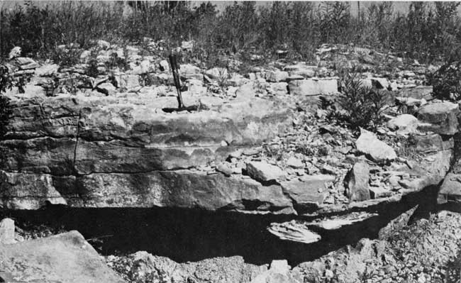 Black and white photo of outcrop.