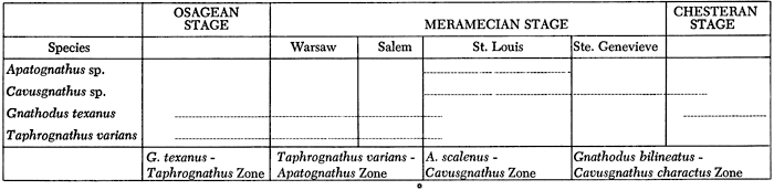 Conodont species associated with different time periods.