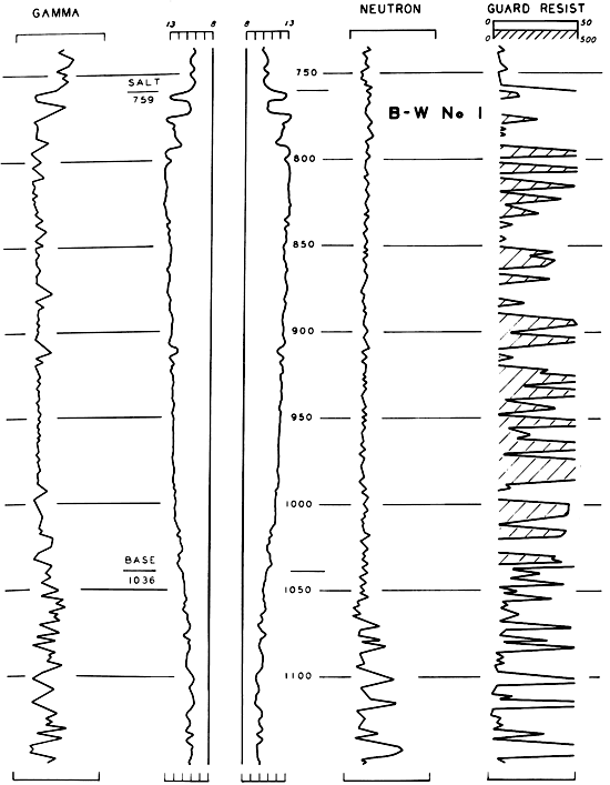 Gamma ray, Neutron, guard resistivity, and caliper logs.