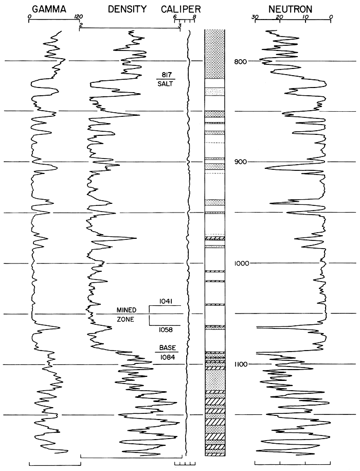 Gamma ray, density, caliper, and neutron logs.