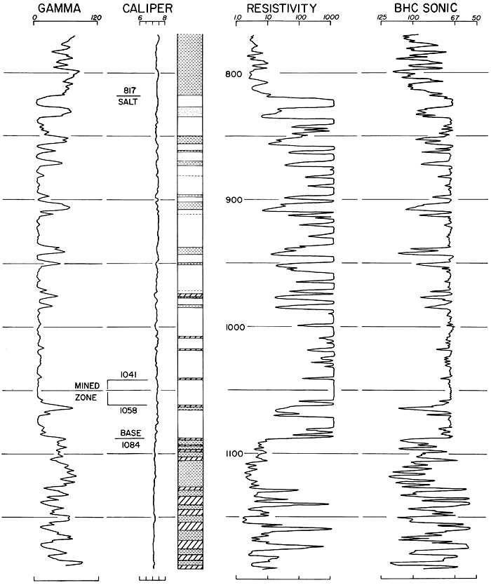 Gamma ray, caliper, resistivity, and BHC sonic logs.