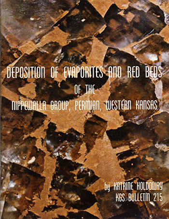 small image of the cover of the book; background is enlarged photo of evaporite crystals; text is white.