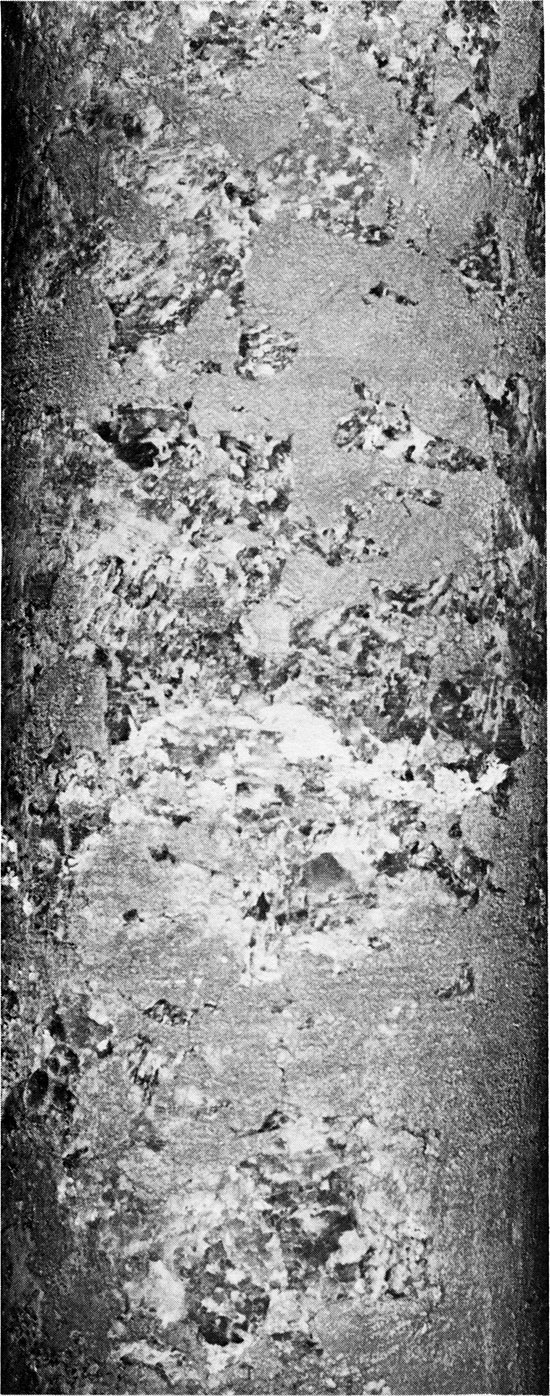 Black and white photo of core, Flower-pot Fm.