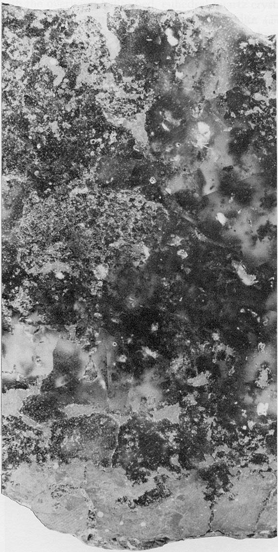 Black and white photo of core, Flower-pot Fm.