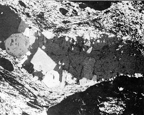 Black and white photo of core, Anhydrite and mudstone, Flower-pot Fm.