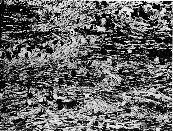 Black and white photo of core, close-up of anhydrite, Flower-pot Fm.