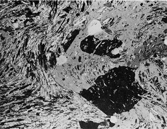 Black and white photo of core, close-up of quartz that has replaced anhydrite, Flower-pot Fm.