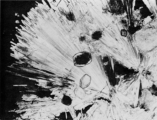 Black and white photo of core, anhydrite and halite of Blaine Formation.