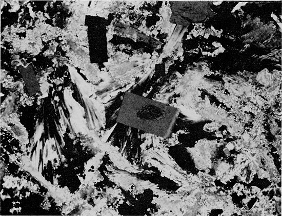 Black and white photo of core, anhydrite types of Blaine Formation.