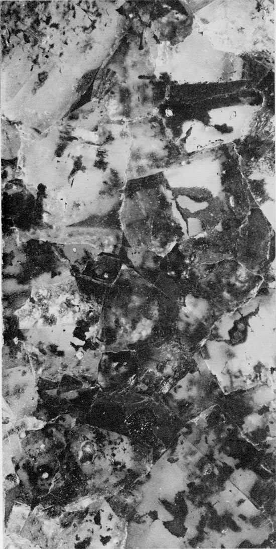 Black and white photo of core, halite and mudstone of Blaine Formation.