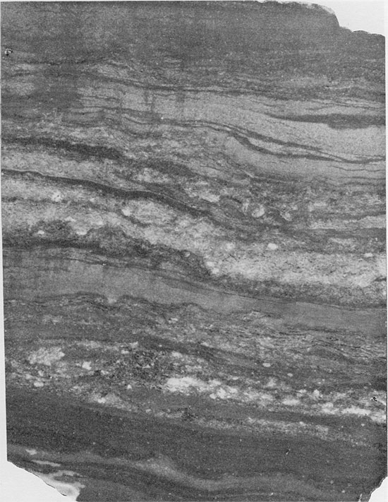 Black and white photo of core, shale and anhydrite of Blaine Formation.