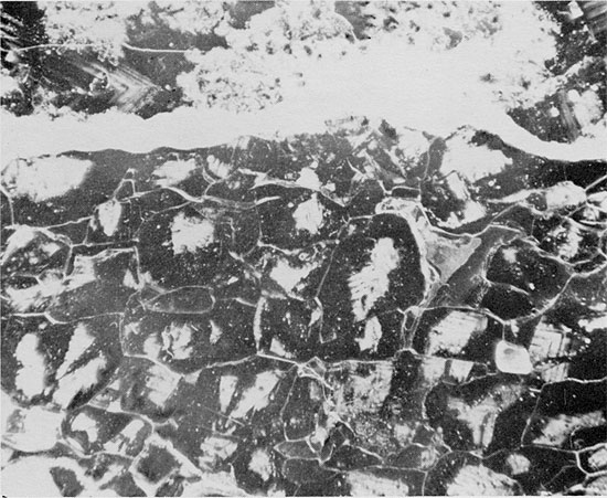 Black and white photo of core, halite of Blaine Formation.