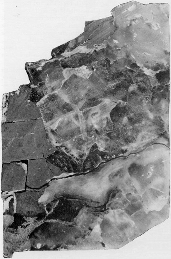 Black and white photo of core, halite, anhydrite, and mudstone of Blaine Formation.