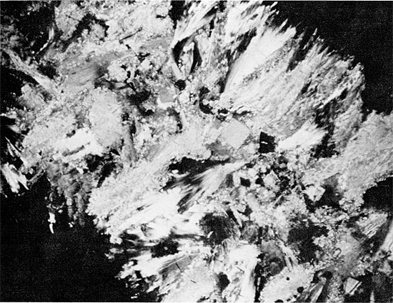 Black and white photo of core, anhydrite crystals of Blaine Formation.