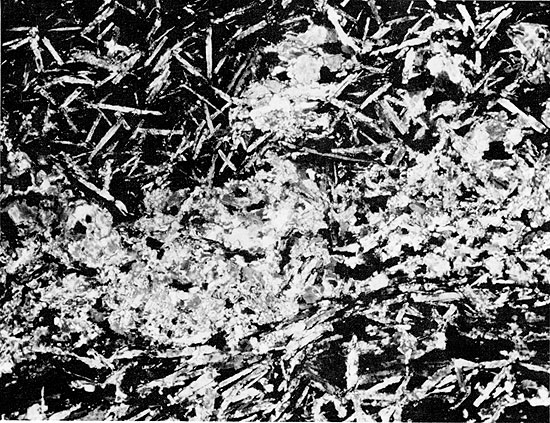 Black and white photo of core, anhydrite crystals in mudstone, Blaine Formation.
