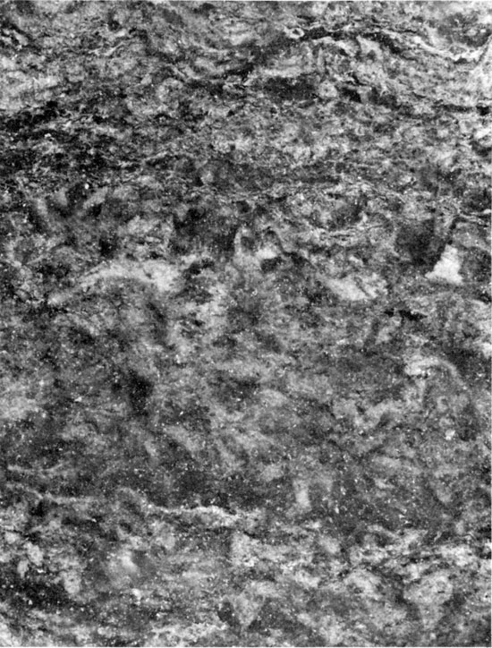 Black and white photo of core, anhydrite, Blaine Formation.