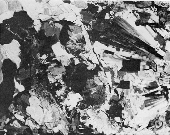 Black and white photo of core, anhydrite, Blaine Formation.
