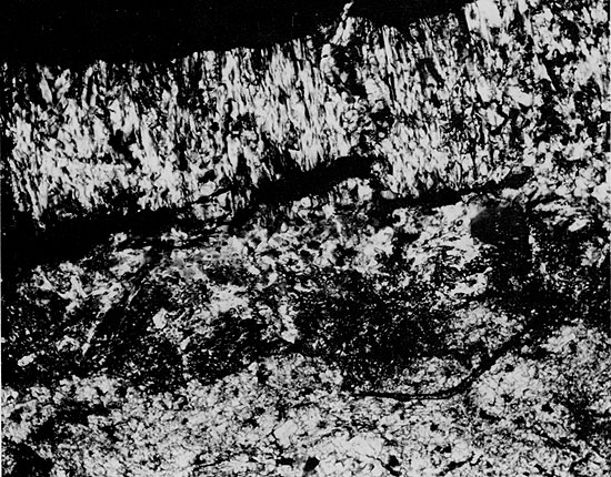 Black and white photo of core, anhydrite and gypsum, Blaine Formation.