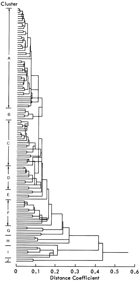 Dendogram shoing 6 clusters.