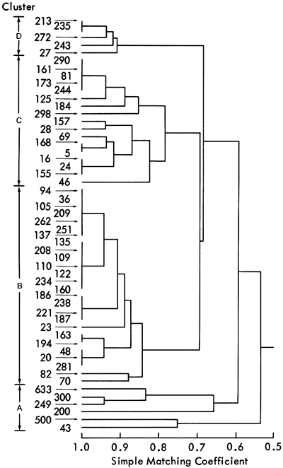 Dendogram showing four clusters produced by linkage analysis.