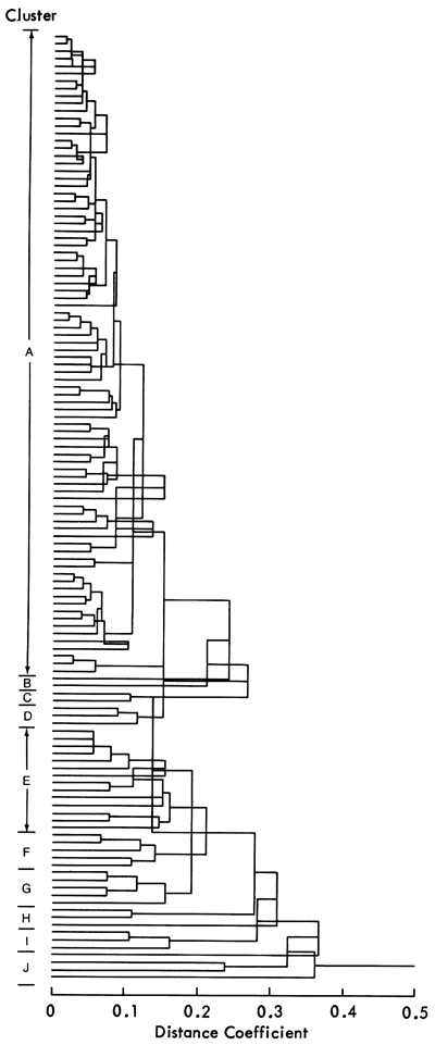 Dendogram showing 10 clusters produced by linkage analysis.