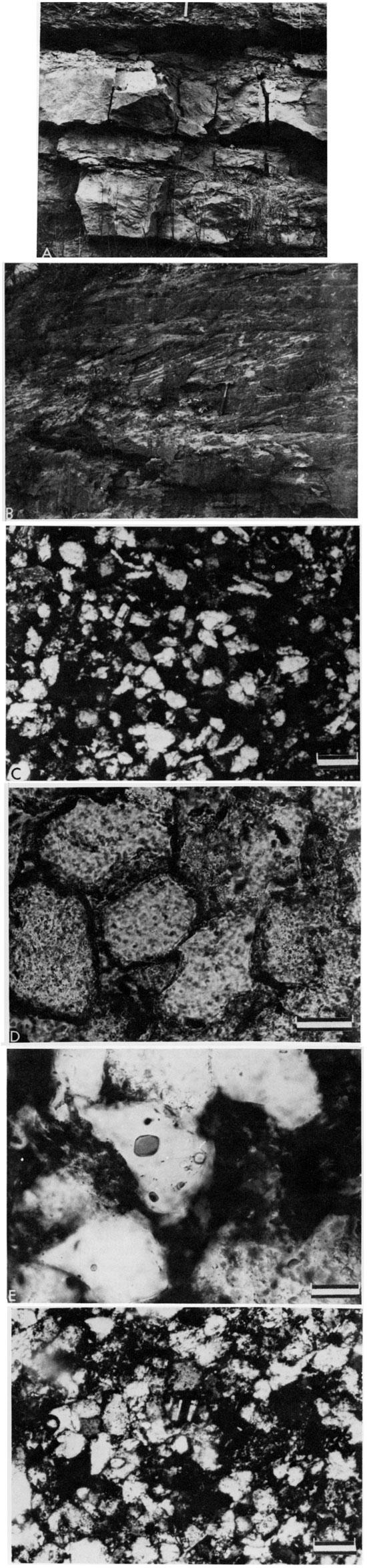 Six black and white photomicrographs; top two are of outcrop itself.