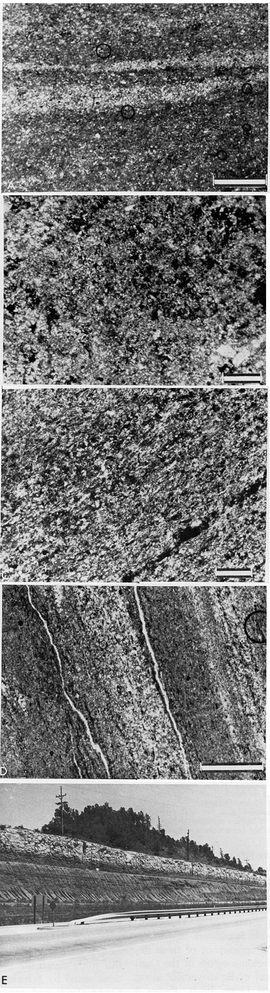 Four black and white photomicrographs and one photo of a typical roadcut where samples were collected.