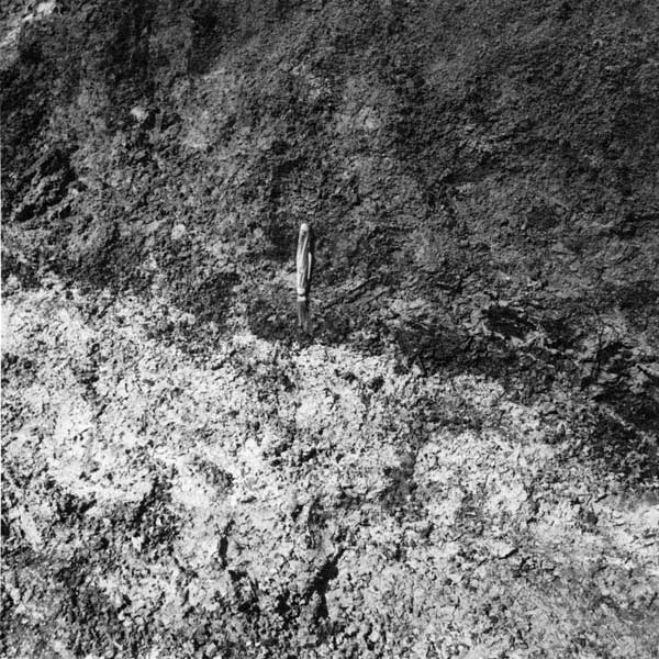 Black and white closeup of outcrop shows lighter Wellington Fm covered by thin, very dark gray soil unit, all below gray Longford Mbr.