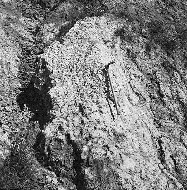 Black and white photo of mudstone in outcrop, rock pick for scale.