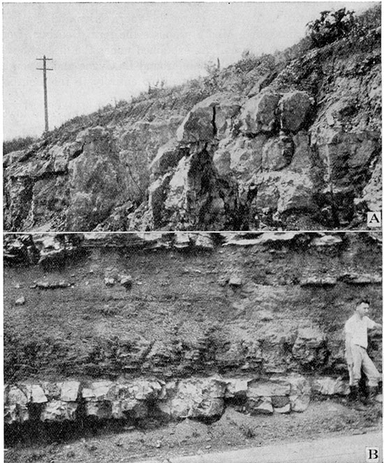 Black and white photos; top photo is of blocky outcrop of Bethany Falls Ls; lower photo is limestone bed of Middle Creek Ls below thick Hushpuckney shale with reasearcher for scale.