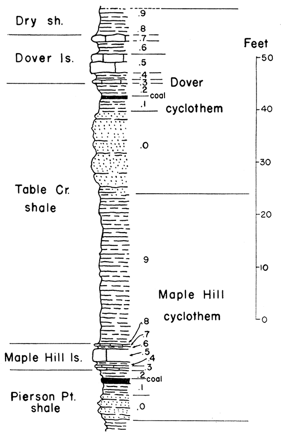 Diagram showing two typical cyclothems in the Wabaunsee group.